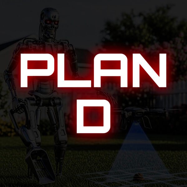 Plan D